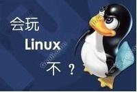 嵌入式Linux系统优缺点对比