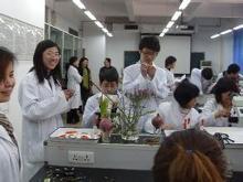植物学实验