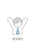 《独闯迈阿密》