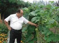 吉林市昌邑区两家子乡蔬菜种植