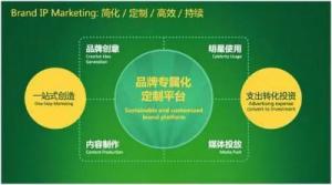 品牌IP营销