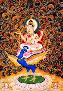 当时佛陀本生是雪山南方名为"金曜"(或译"金光明")的孔雀王,每天早晨