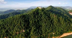 东福山