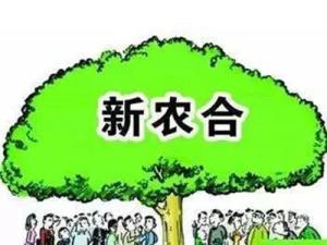 新农合报销范围