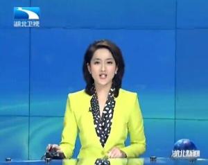 湖北新闻主播陈静