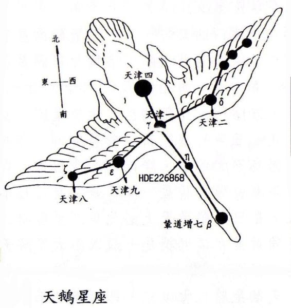 2等,也是已知最明亮的恆星之一.天津四與位於天鷹座的河鼓二(牛郎星)