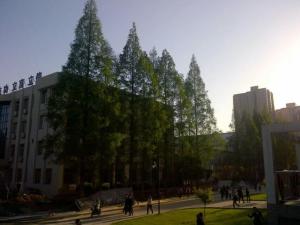 学校景观