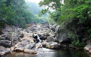 王岗山风光