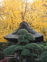 竹之寺