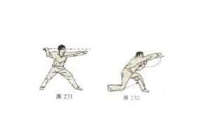 硬螳螂拳部分动作