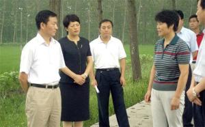 八巨镇