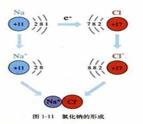 离子
