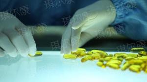 翅果油果实和胶囊