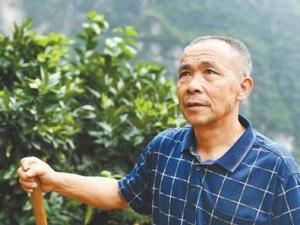 毛相林