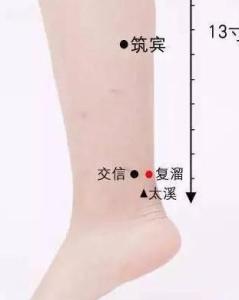 复溜 - 搜狗百科