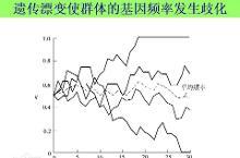 遗传漂变