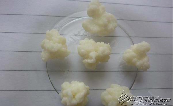 开菲尔菌种