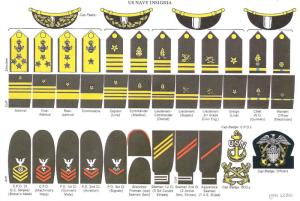 二战美国海军肩章图片