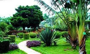 湛江南亚热带植物园