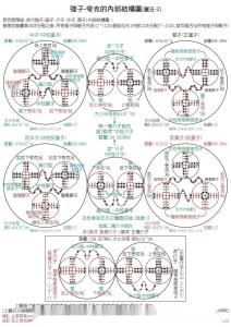 原子核的组成粒子