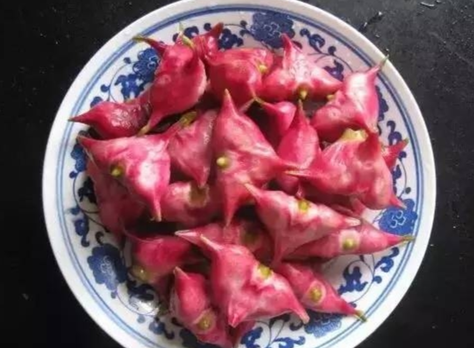 水红菱