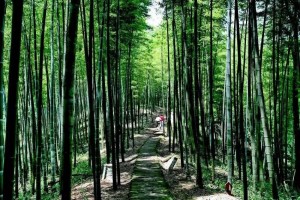 生物资源