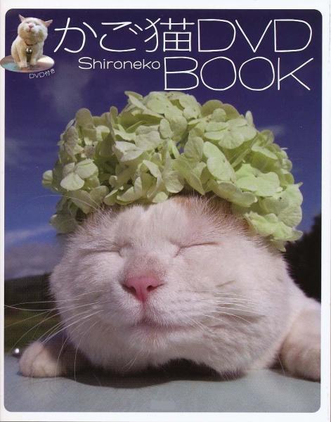 DVD BOOK