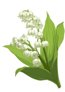 风铃草