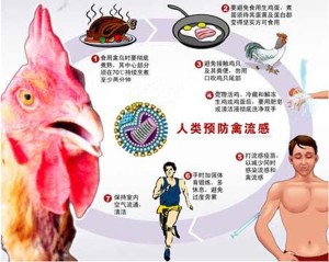 传播途径