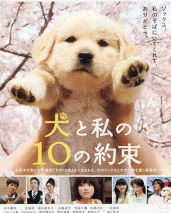 福田麻由子 搜狗百科