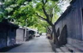 官道李镇