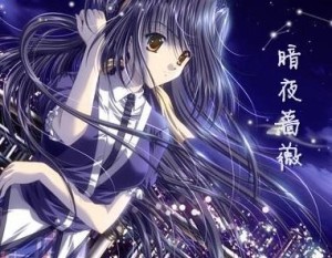 暗夜蔷薇