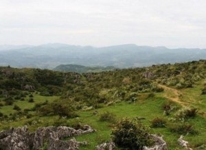 茂云山国家森林公园