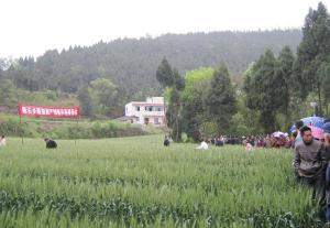 断石乡