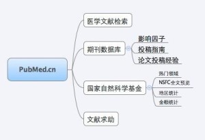 PubMed-cn结构