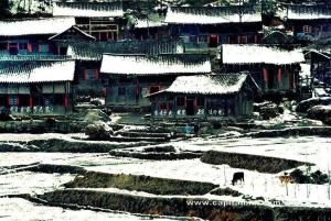 花瑶雪景