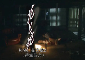 花与蛇2：巴黎静子