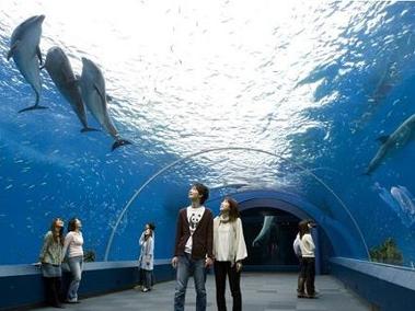水族馆