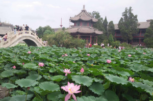 保定古莲花池