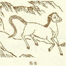 驺虞