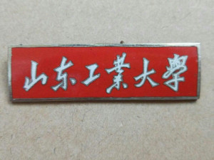 山东工业大学