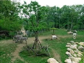 食草动物生态园