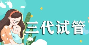 第三代试管婴儿