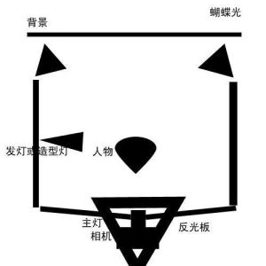 蝴蝶光原理图
