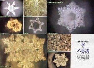 水知道答案的最初日文版水结晶图片