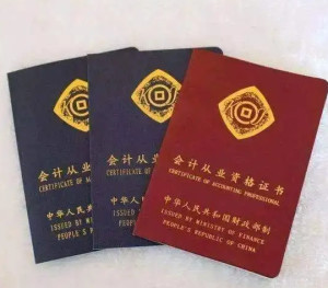 会计从业资格证书（非必备）