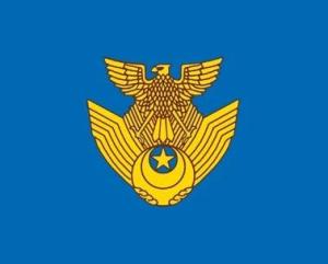航空自卫队