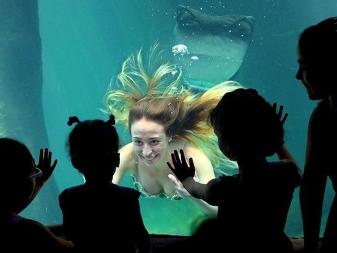 水族馆表演