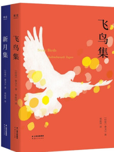拉宾德拉纳特·泰戈尔作品