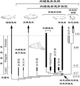 4亿年前远古时代 肉鳍鱼类